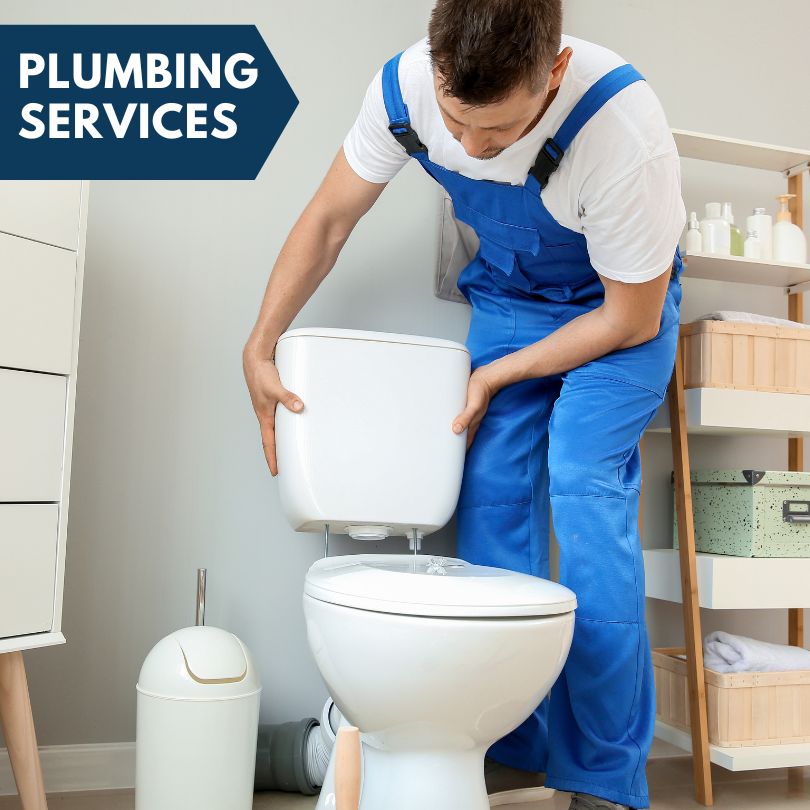 Plumbing Company in North Las Vegas, NV